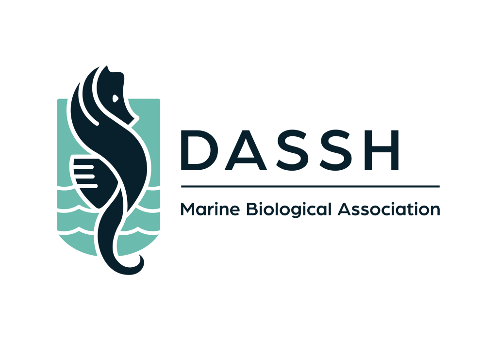 DASHH Logo